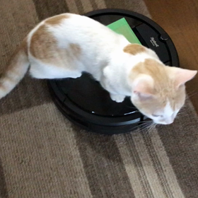 ミルクは今日も絶好調の画像