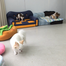 ♪プレイルーム動画♪①の画像