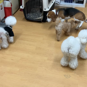 朝のふれあいタイムの画像