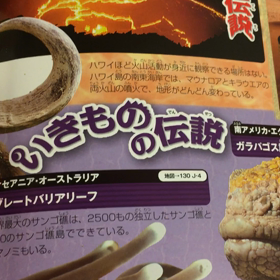 「ニモ」。上機嫌なシャワータイム。の画像