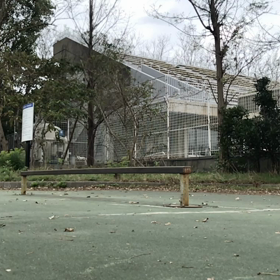 食後のスケート動画の画像