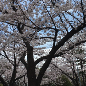 DNAが喜ぶ。の画像