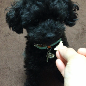 炭酸せんべいと戦う❤️の画像