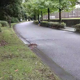 9月3日 1000m ゴール③の画像