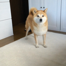 外面が良い？の画像