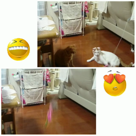 ◆早いもので…の画像