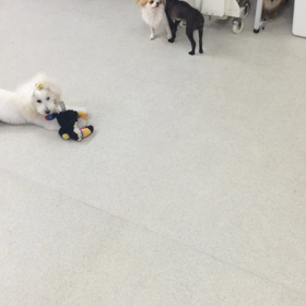 ♪プレイルーム動画♪の画像