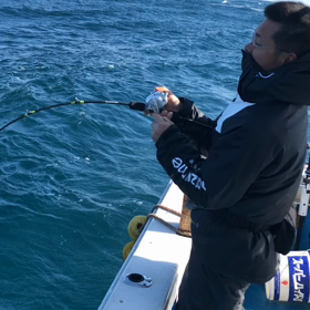 OP644 プロトの画像