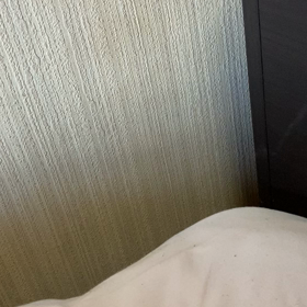 the day draget onの画像