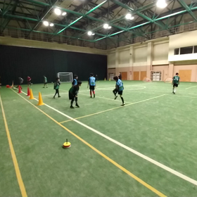 水曜日の動画の画像