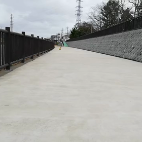 昼散歩で走る、3月のこと。の画像