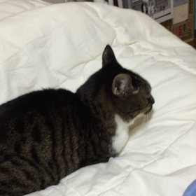 その頃・・・の画像