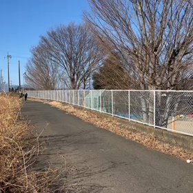 東金子駅伝（下り坂）１区①の画像