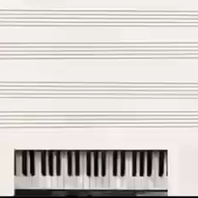 素敵な動画の送信…。の画像