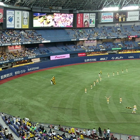 京セラドーム大阪・オープン戦11の画像