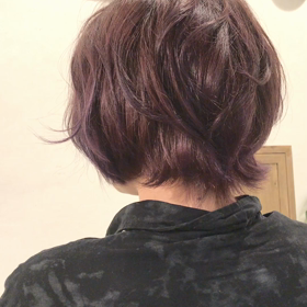 パープルカラーの画像