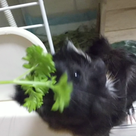 新たに大好物発見～✨の画像