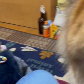 お供をしたいマロさんの画像