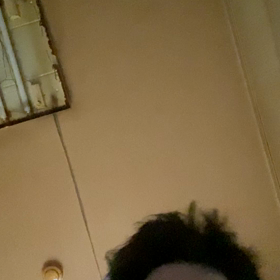 レットユアセルフゴーばらし、の画像