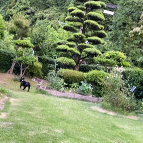 久々早く帰って…の画像