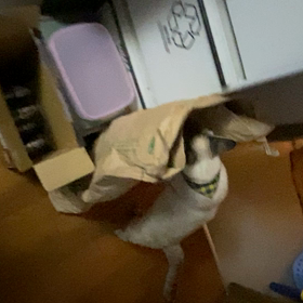 とにかく入りたいwの画像