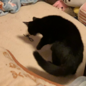 あちょー、ちょい攻撃の画像