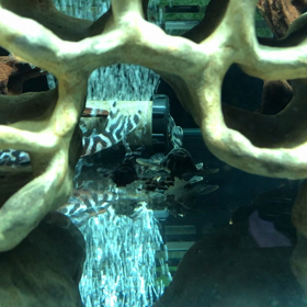 もぐもぐタイムの画像