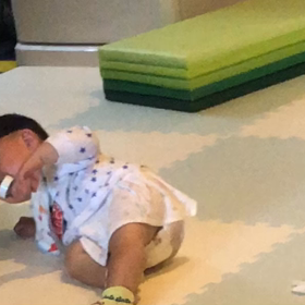 本能の行動か？の画像