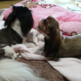 テレビ聞こえませんの画像