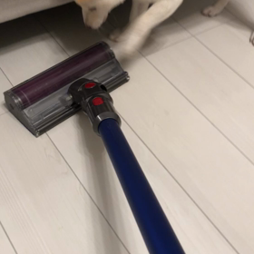 どこまでもの画像