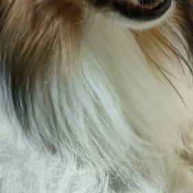 器用な食べ方の画像