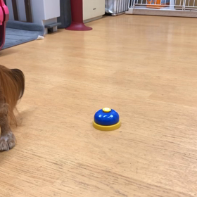 チェリー編。の画像