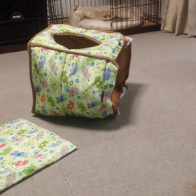 ちゃんと入れるのよ☆の画像