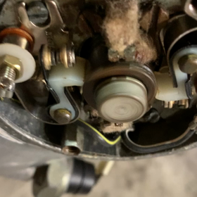 磨いてても駄目かな？の画像