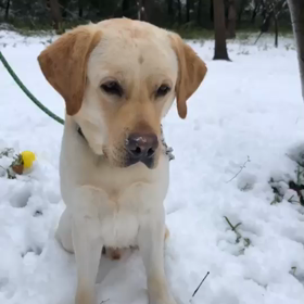 初めての雪遊びの画像