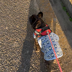 どちらも激しい息遣い…。笑の画像