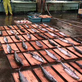 豊浜朝市の様子！桜鯛が豊漁！の画像