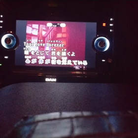 歌ってみた…⑫の画像