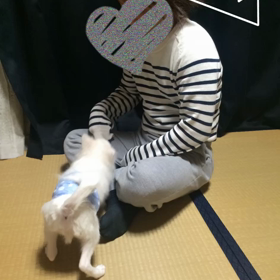 喧嘩(´･_･`)の画像