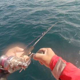 御前崎ジギングの画像