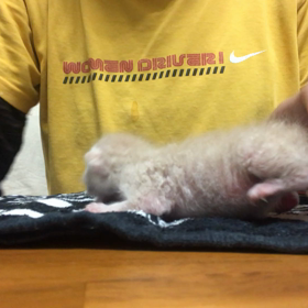 早朝授乳！の画像