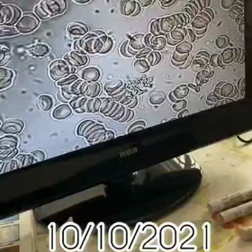 わずか6日で……の画像