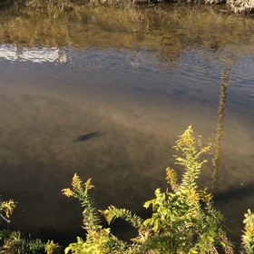 仕切り直しの画像