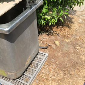 この子たちは何を？の画像