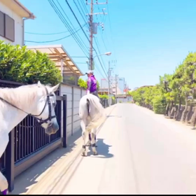 大井開催初日がはじまりますの画像