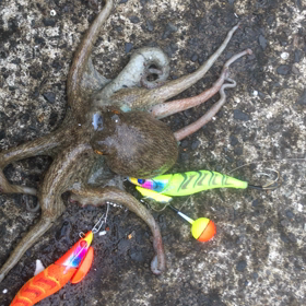 今日はヨーグルトの日(^_^)の画像