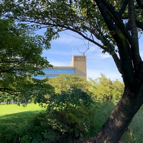 秋の気配の画像