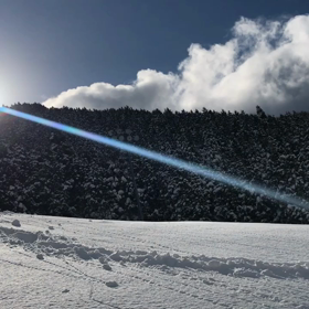 パウダー(〃ω〃) 猫山！の画像