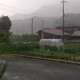 今空　6月28日(水)　雷ゴロゴロの画像