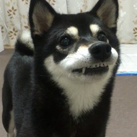 ボール遊びの動画の画像